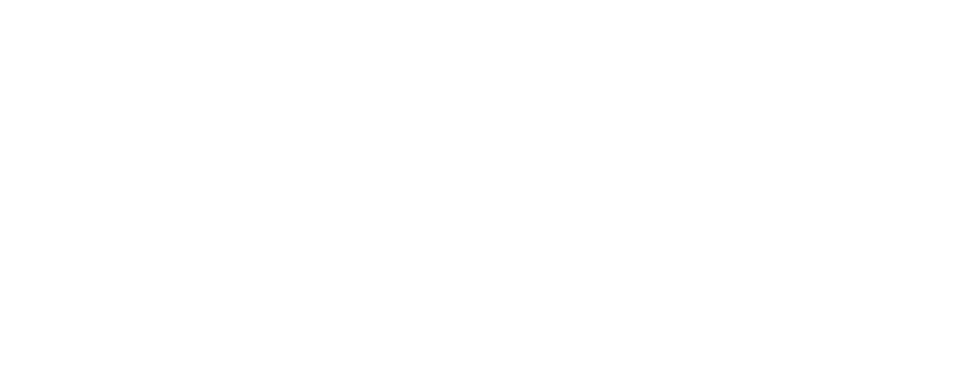 CollaBrains